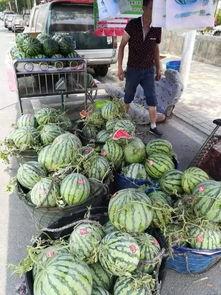 沂水吃瓜事件腾冲,腾冲网友热议的背后