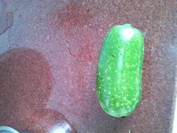 米瓜孕妇可以吃吗,安全与营养两不误