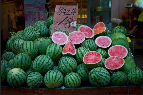 浙江上海吃瓜,一场别开生面的吃瓜盛宴