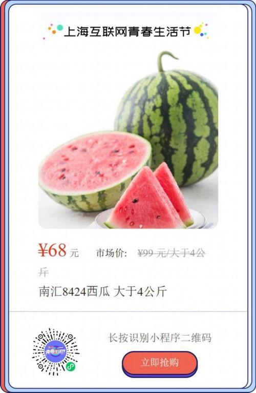 浙江上海吃瓜,一场别开生面的吃瓜盛宴