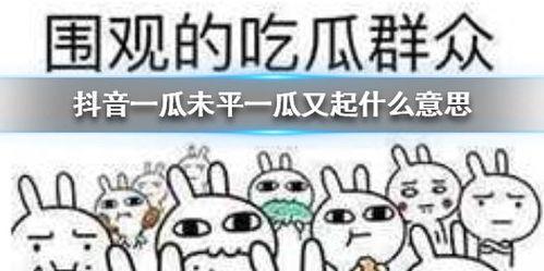 抖音撒娇吃瓜,趣味横生的网络潮流瞬间