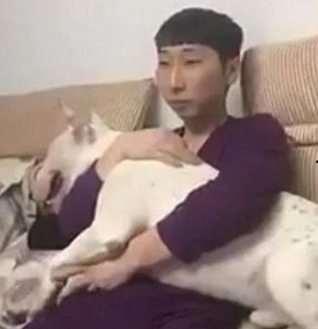 呆瓜吃瓜结局,一场爆笑反转的奇幻之旅