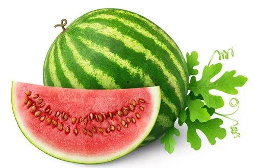 吃瓜资源蘑菇tV,吃瓜资源新天地，带你畅游娱乐海洋