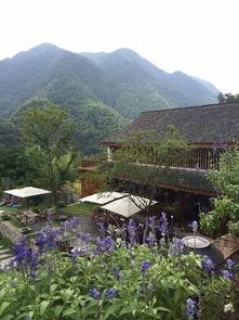 浙江临安吃瓜,夏日吃瓜盛宴，感受当地特色美食文化