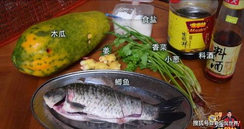 鱼了吃瓜,揭秘网络热梗背后的趣味与思考