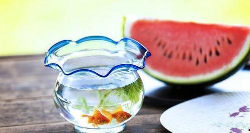 暗黑吃瓜官,揭秘娱乐圈背后的真相与秘密