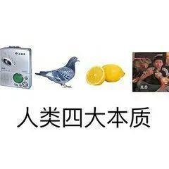 喊你朋友吃瓜,与好友共享的欢乐时光