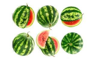 景晖吃瓜,揭秘娱乐圈幕后真相