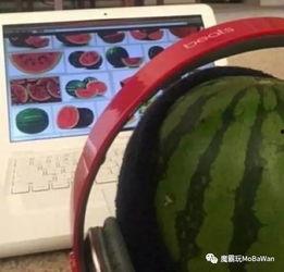 吃瓜看瓜不当瓜,不当行为引发的反思与启示