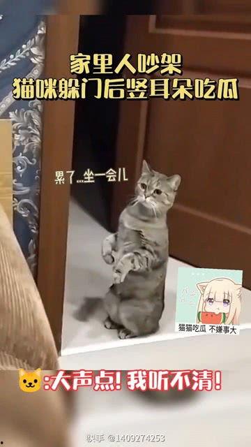 猫九吃瓜门