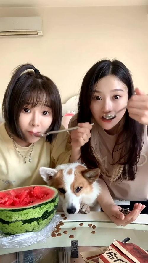 闺蜜吃瓜样子,笑料百出，欢乐无限