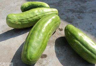 脆瓜可以怎样吃,创意烹饪新体验