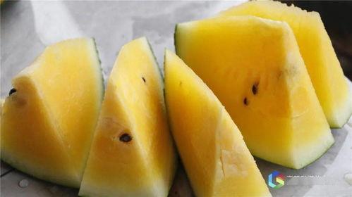乐水吃瓜,揭秘夏日消暑美食的奥秘