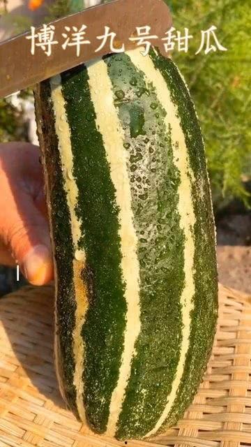 梦到自己在吃没熟的瓜