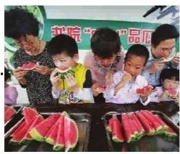 吃瓜大王比拼,一场舌尖上的狂欢盛宴