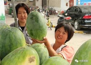 路不平吃瓜视频